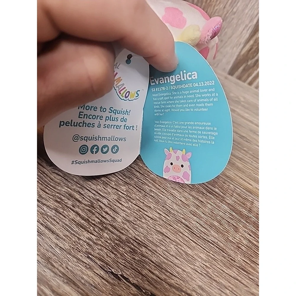 Squishmallows squishmallow evangelica